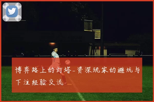 博弈路上的灯塔_资深玩家的避坑与下注经验交流