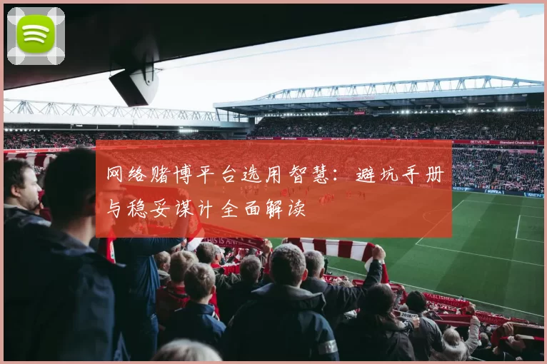 网络赌博平台选用智慧：避坑手册与稳妥谋计全面解读