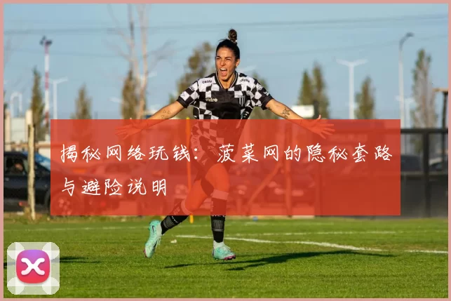 揭秘网络玩钱：菠菜网的隐秘套路与避险说明