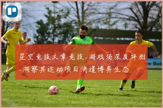 星空竞技文章竞技_游戏场深度评测_洞察其运动项目消遣博弈生态