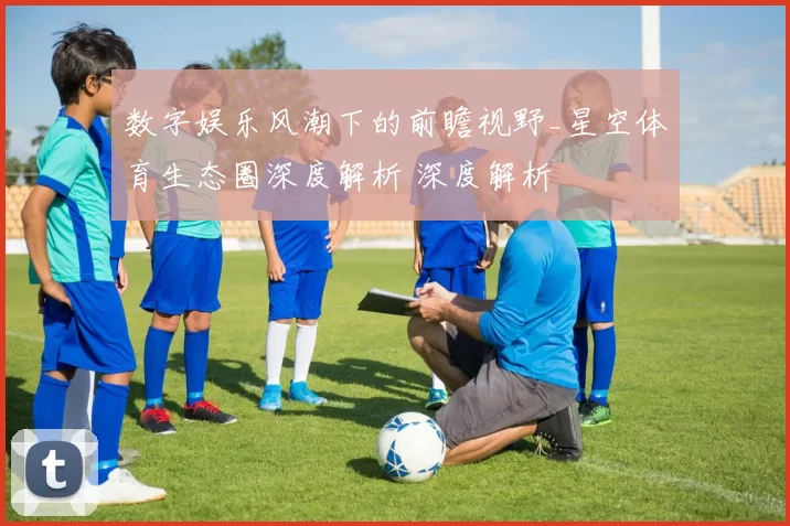 数字娱乐风潮下的前瞻视野_星空体育生态圈深度解析 深度解析