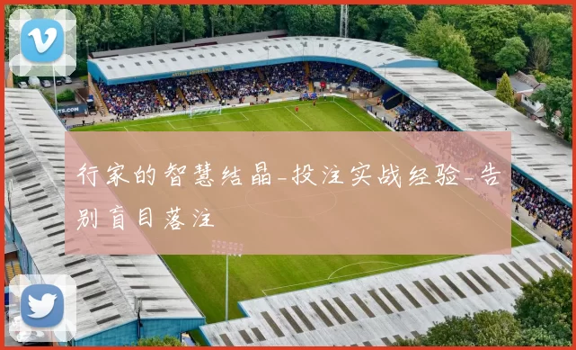 行家的智慧结晶_投注实战经验_告别盲目落注