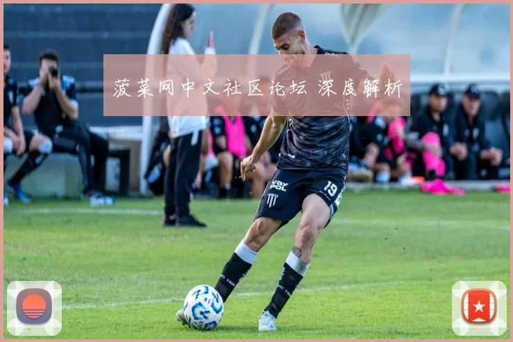 菠菜网中文社区论坛 深度解析