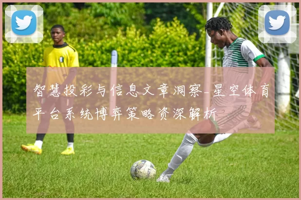智慧投彩与信息文章洞察_星空体育平台系统博弈策略资深解析