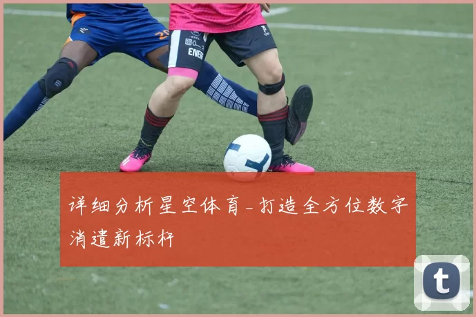 详细分析星空体育_打造全方位数字消遣新标杆