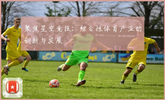聚焦星空竞技：综合性体育产业的创新与发展