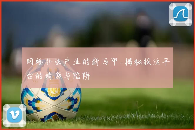 网络非法产业的新马甲_揭秘投注平台的诱惑与陷阱