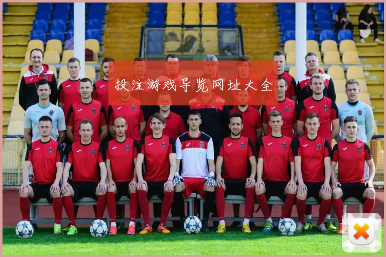 投注游戏导览网址大全